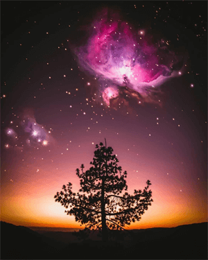astrology